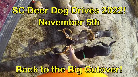 SC Deer Dog Drives 2022! Nov. 5th Back to the Big Cutover!