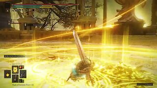 Ultra Instinct at its FINEST Colosseum PvP Elden Ring