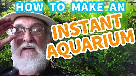 How to Set Up Aquariums | Fish Tank Set Up for Beginners