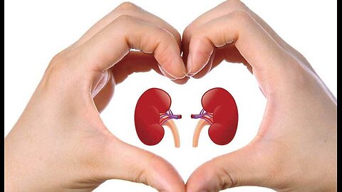 How to Detox, Cleanse & Repair Your Kidneys?