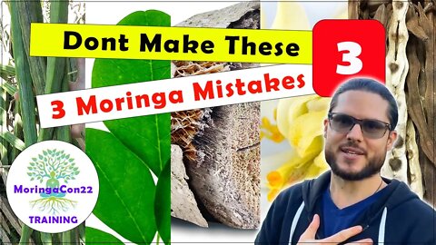Don't Make These 3 Moringa Mistakes | Watch Full MoringaCon22 Replays Training | More Profits Today