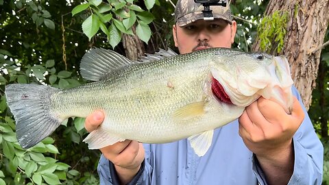 ABSOLUTE UNIT! (Loaded Flooded Creek)