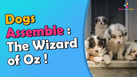 Puppies dressed as The Wizard of Oz Characters
