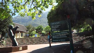 SOUTH AFRICA - Cape Town - Kirstenbosch National Botanical Garden (Video) (Wdx)