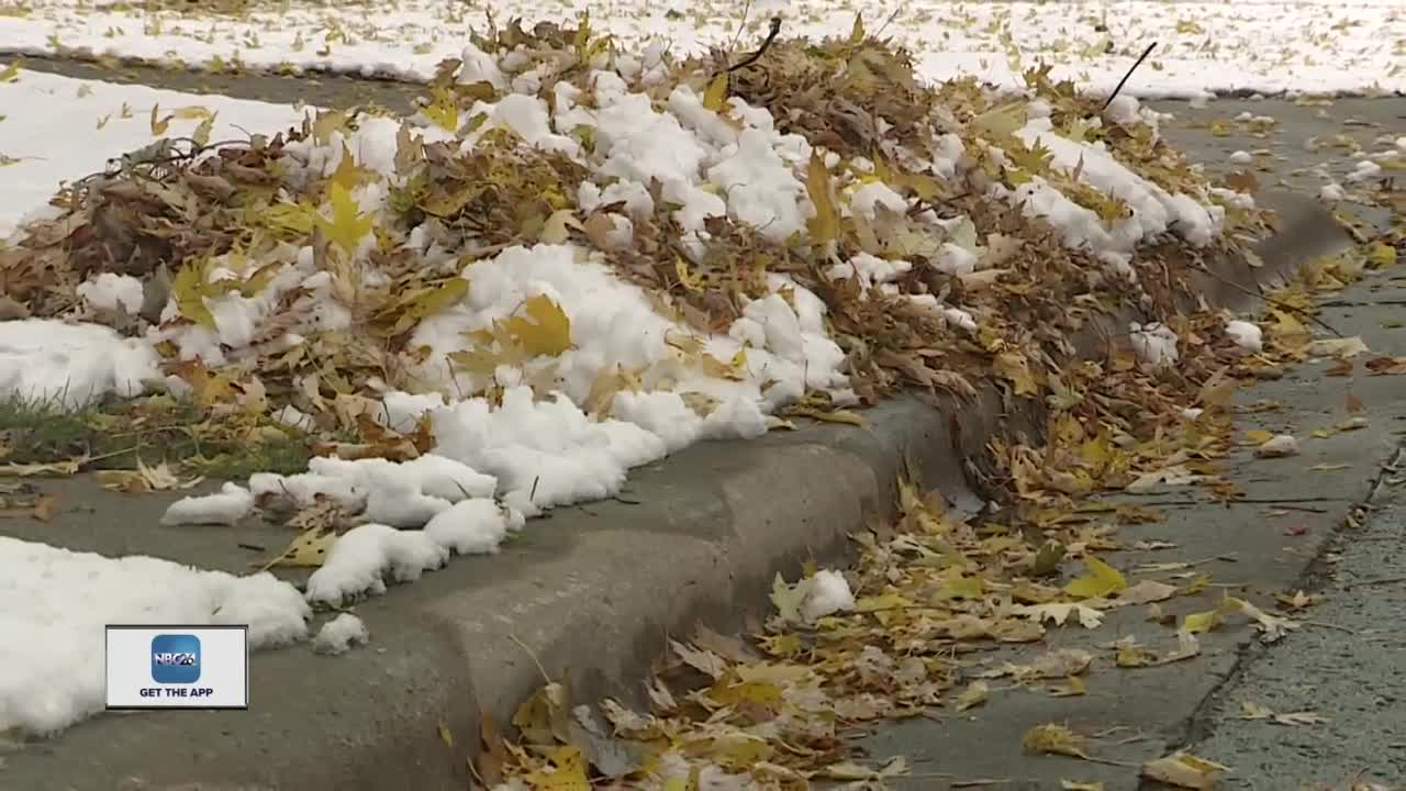 Leaf cleanup is a race against Mother Nature