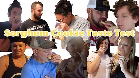 Sorghum Cookie Taste Test: Family Reactions!