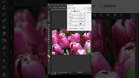 tulips flower colour change in photoshop for beginners #photoshop #shorts of ritik kherala