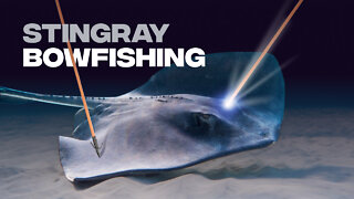 STINGRAY BOWFISHING & MORE! / PREPARING A STINGRAY