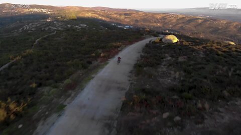 Un drone s'écrase contre un arbre au Portugal
