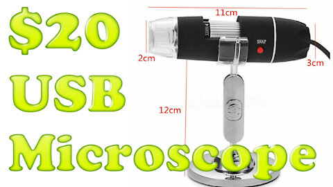 $20 USB Microscope Review By Gym_