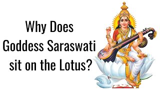 The Goddess Saraswati of Knowledge why does she sit on a lotus?