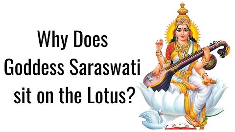 The Goddess Saraswati of Knowledge why does she sit on a lotus?