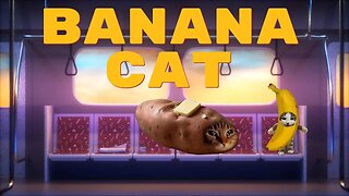 Banana Cat Takes The Metro! 🍌