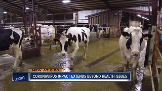 'It's discouraging for dairy farmers:' Coronavirus' economic impact on Wisconsin