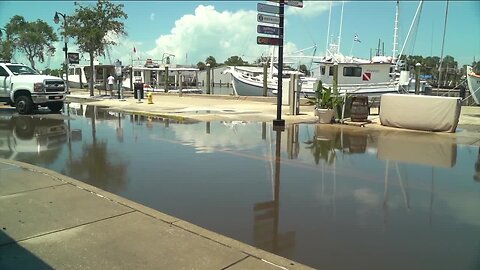 Storm surge, high tide from Idalia impact Sponge Docks businesses