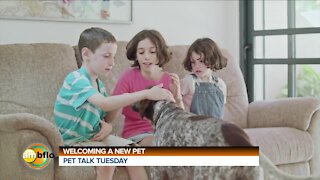 PET TALK TUESDAY - WELCOMING A NEW PET