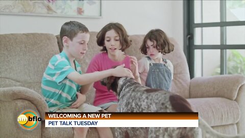 PET TALK TUESDAY - WELCOMING A NEW PET