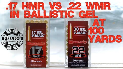 V-MAX BALLISTIC GEL TEST ~ .22 WMR vs .17 HMR