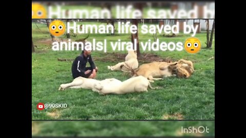 Animals that saved humans | unbelievable viral