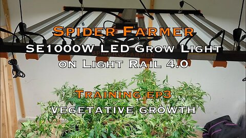1000 WATT LED & Light Rail Vegetative Growth Spider Farmer 2023
