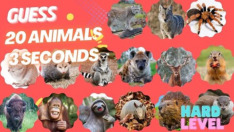 Guess 20 Animals in 3 Seconds Hard Level | Easy, Medium, Hard, Impossible #guess #guessinggame