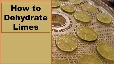 How to Dehydrate Limes for Food Storage