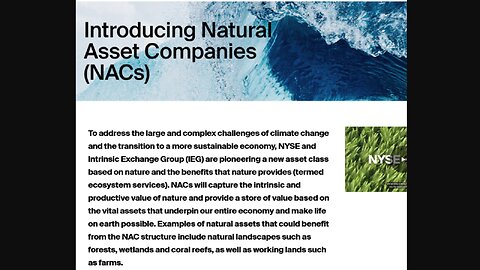 Corporates owning the rights to the air we breathe? Natural Asset Companies explored.