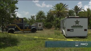 Human Skull found in Clewiston