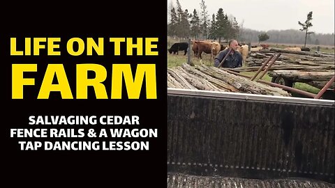 LIfe on the Farm: Salvaging Cedar Fence Rails & a Wagon Tap Dancing Lesson