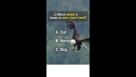 Animal quiz questions and answers.