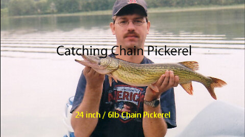 Catching Chain Pickerel