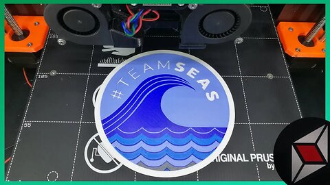 #TeamSeas logo 3D Printed