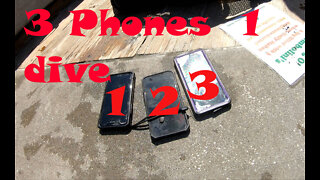 Wekiva Treasure Find 3 Phones