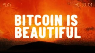 Bitcoin is Beautiful | a Short Film by Tomer Strolight