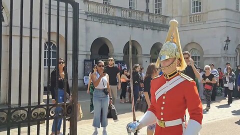 Horse thought it was time to go #horseguardsparade