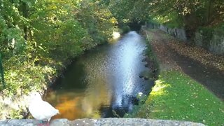 A Quick Autumn Walk