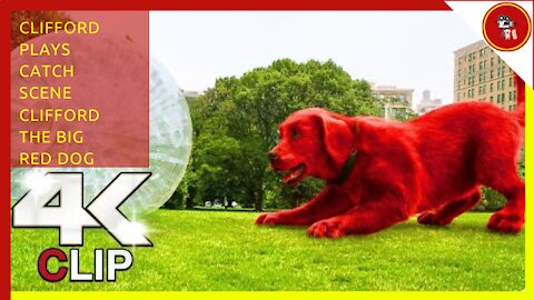 Clifford Plays Catch Scene | CLIFFORD THE BIG RED DOG (NEW 2021) Movie CLIP 4K