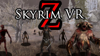 I Turned Skyrim VR Into DayZ