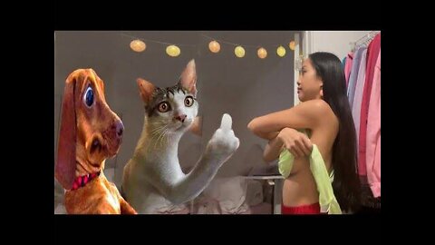 Funny cute dogs 🐶 and cats 🐱 part 4