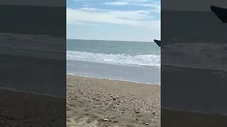 Desembarco en la playa de los Enebrales en Punta Umbría (Huelva)