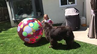 Little girl makes backyard obstacle course for her dog