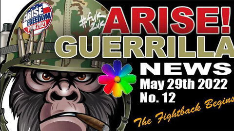 Arise! Guerrilla News Broadcast 12 - MAY 29th
