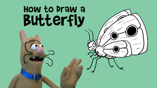 How to Draw a Butterfly