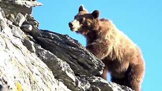 Unexpected Surprises On Highline Trail