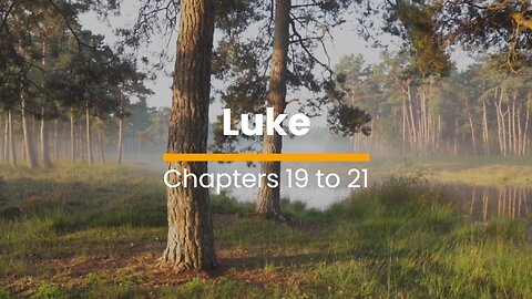 Luke 19, 20 & 21 - October 20 (Day 293)