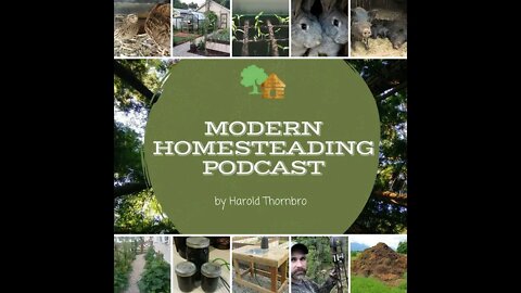 Another Urban Homesteading Success Story With Guest Anne-Marie Miller - Modern Homesteading Podcast