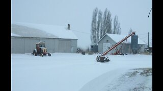 Ranching In Arctic Storms The Worst I've Ever Seen