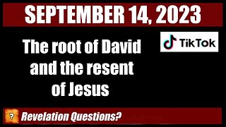 The Root of David?