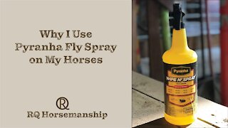 Why I Use Pyranha Fly Spray for My Horses