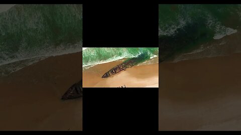 Fraser Island Shenanigans #catchandrelease #fishing #lifestyle #outdoors #angler